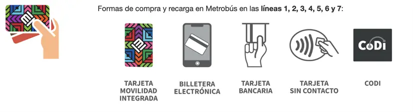 imagen recuadro imagen recuadro