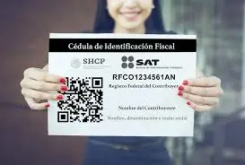 imagen recuadro imagen recuadro