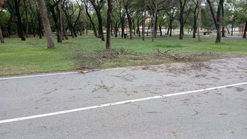 imagen recuadro