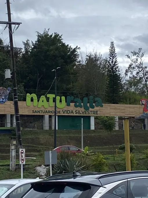 imagen recuadro