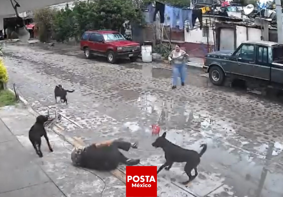 imagen recuadro
