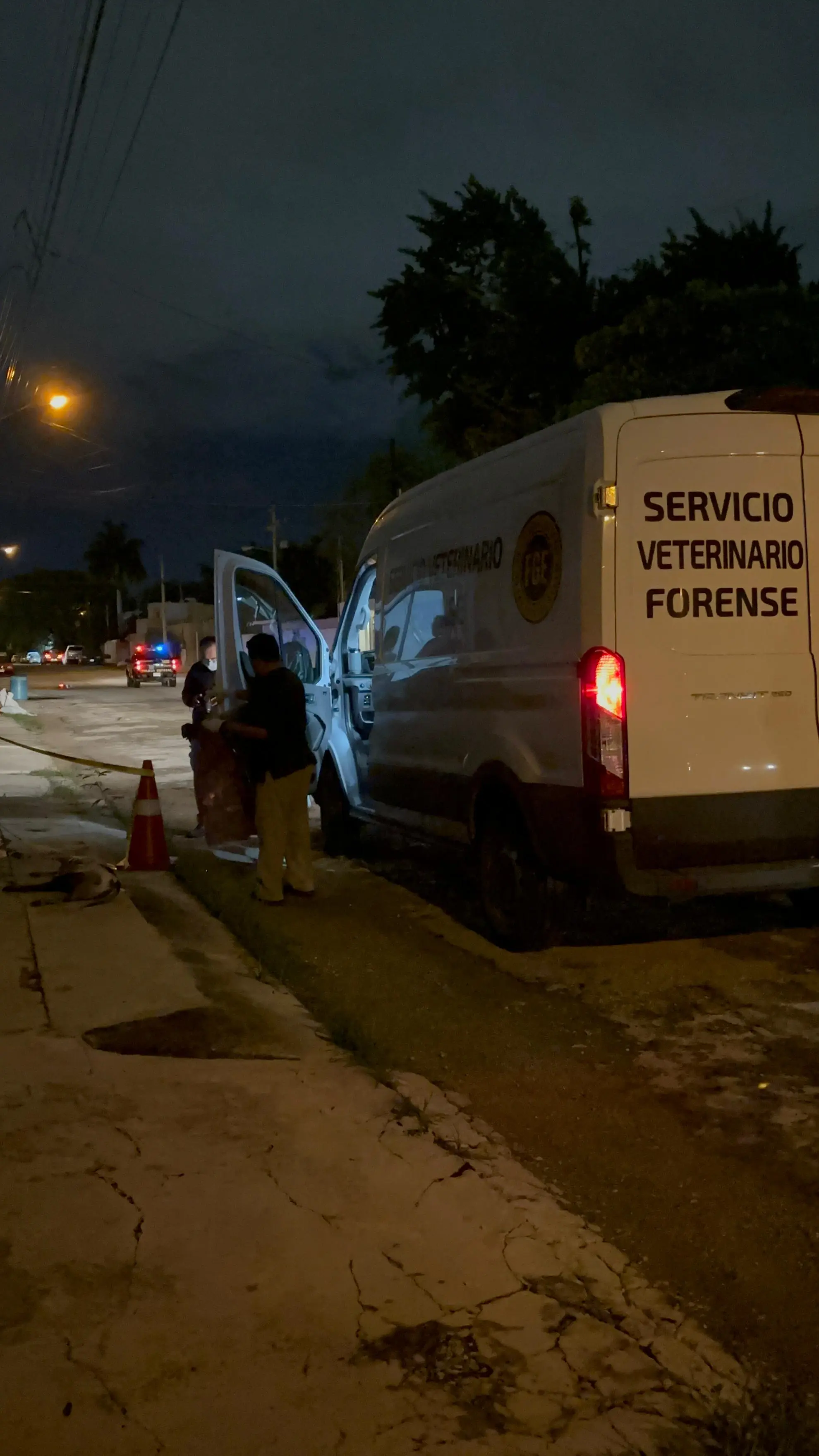 imagen recuadro