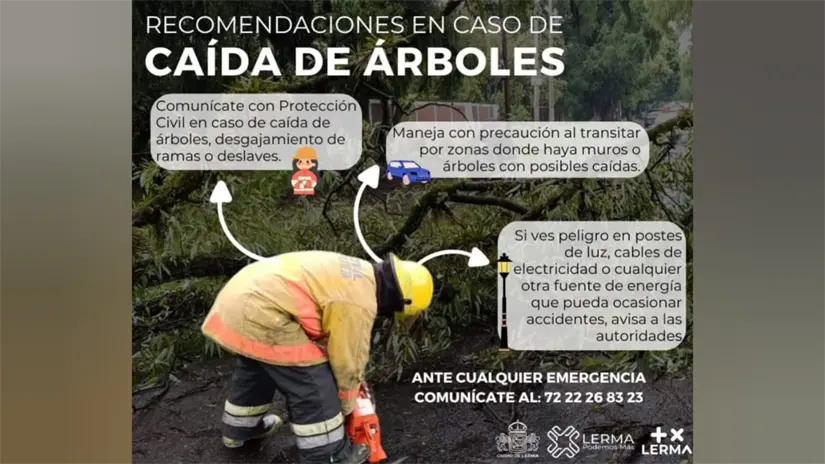 imagen recuadro imagen recuadro