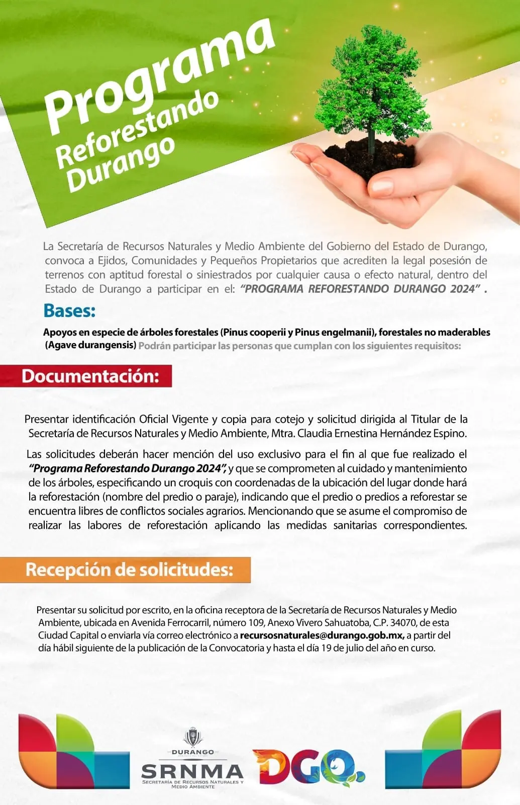 imagen recuadro