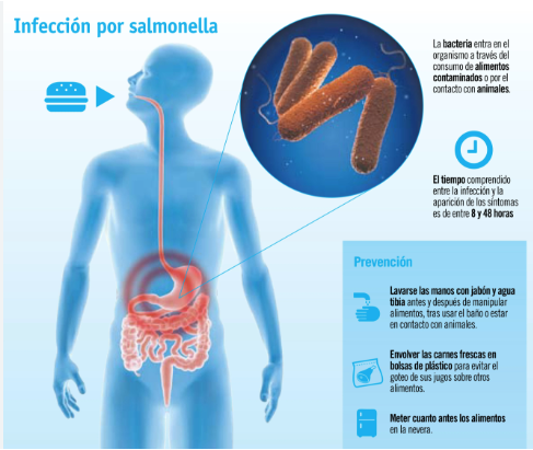 imagen recuadro