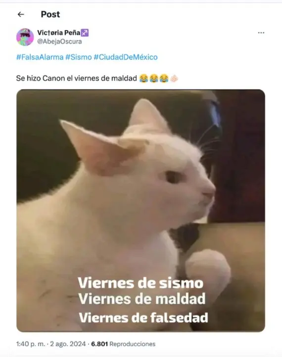 imagen recuadro imagen recuadro