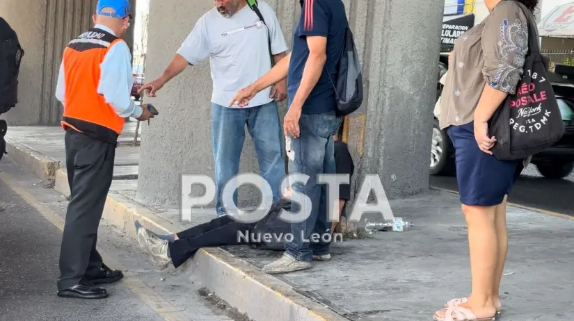 imagen recuadro imagen recuadro