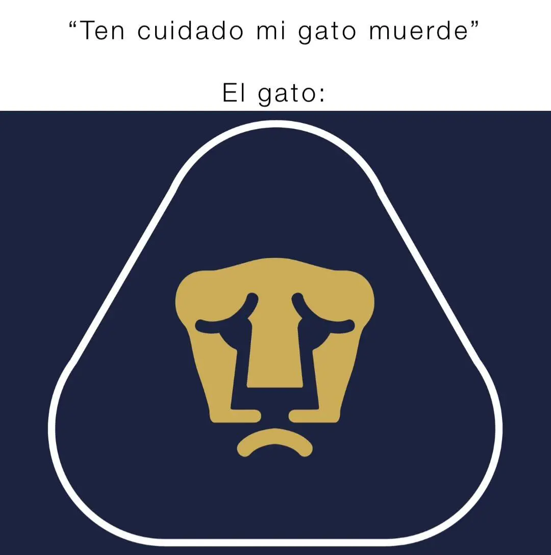 imagen recuadro