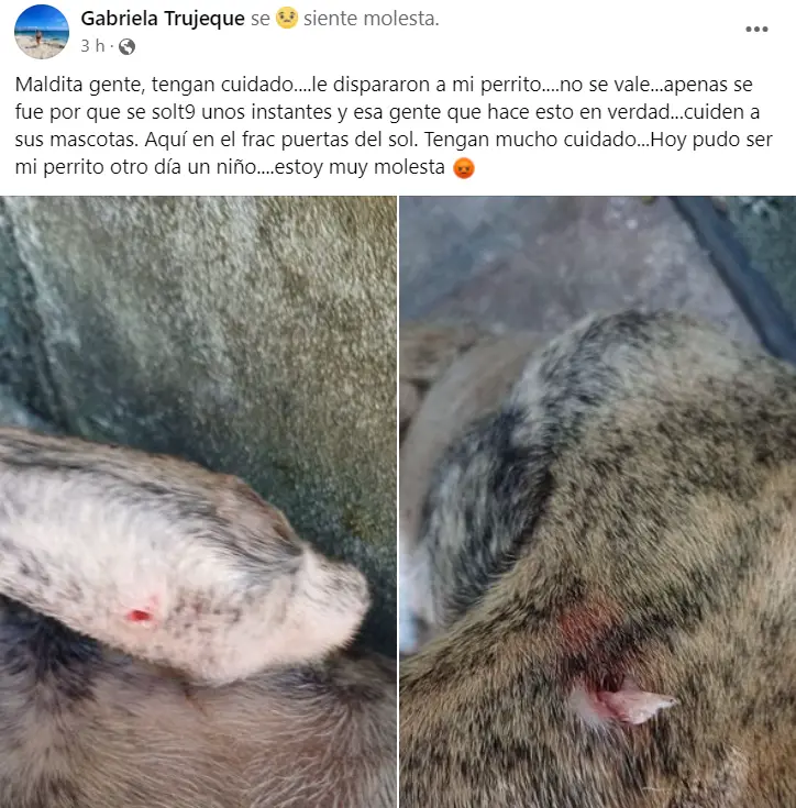 imagen recuadro