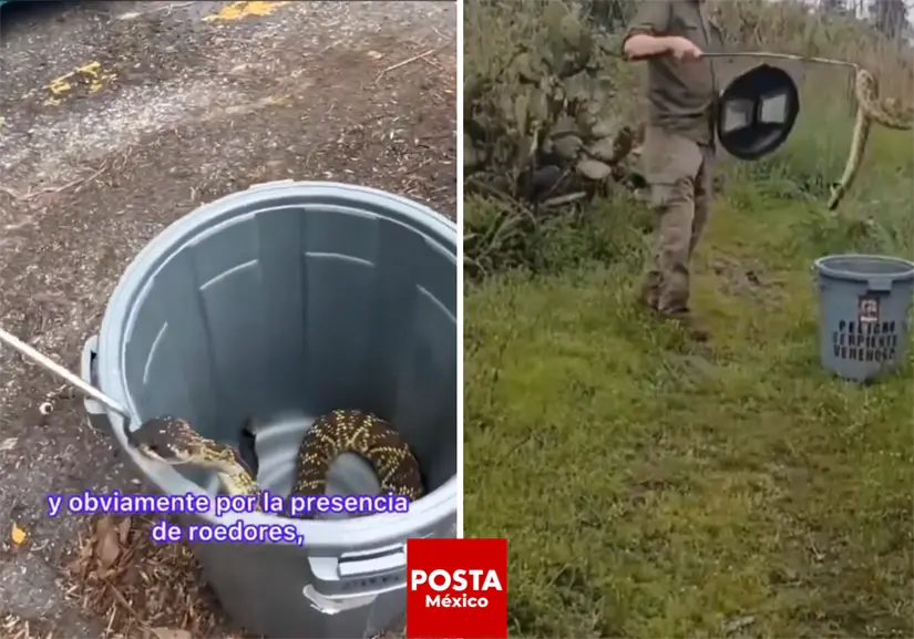 imagen recuadro imagen recuadro