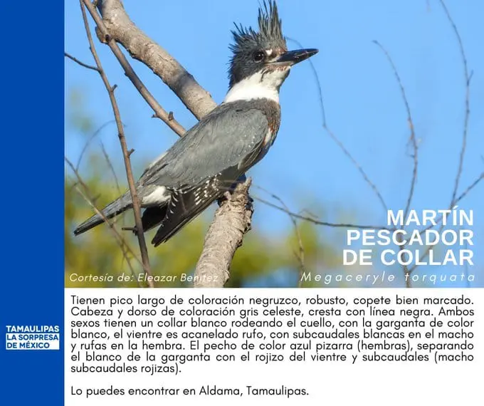 imagen recuadro