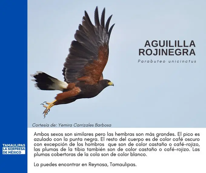imagen recuadro