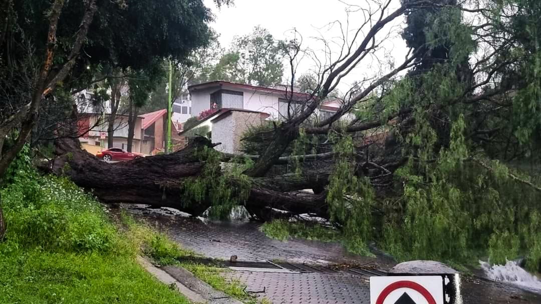 imagen recuadro