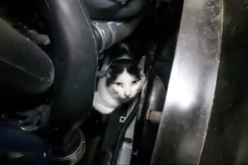 imagen recuadro imagen recuadro