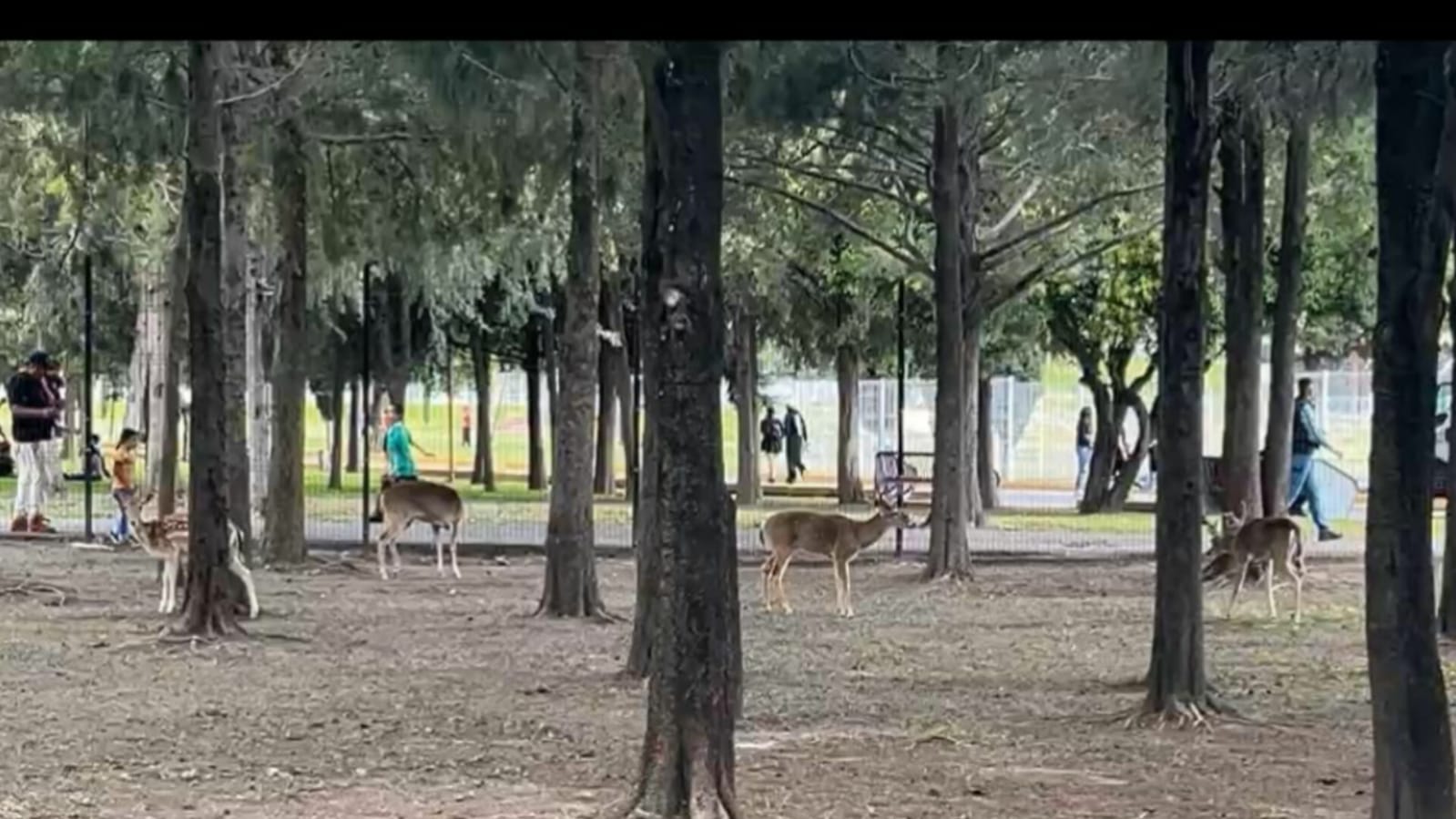 imagen recuadro