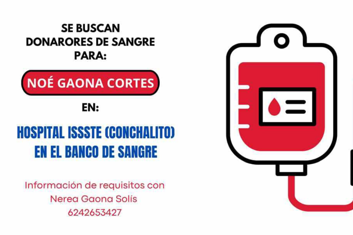 imagen recuadro