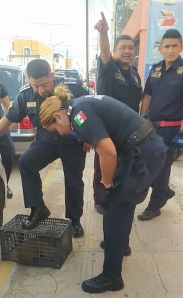 imagen recuadro