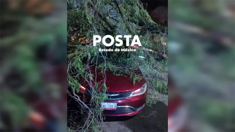 imagen recuadro imagen recuadro