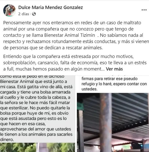 imagen recuadro imagen recuadro