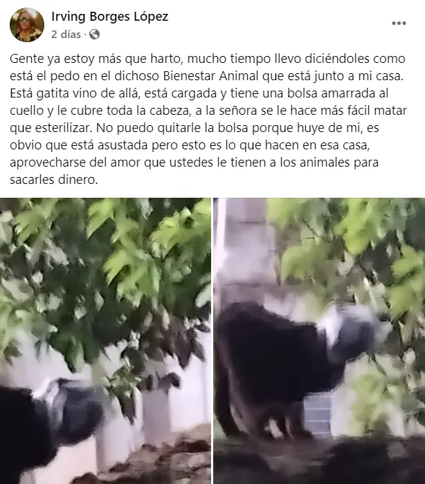 imagen recuadro imagen recuadro