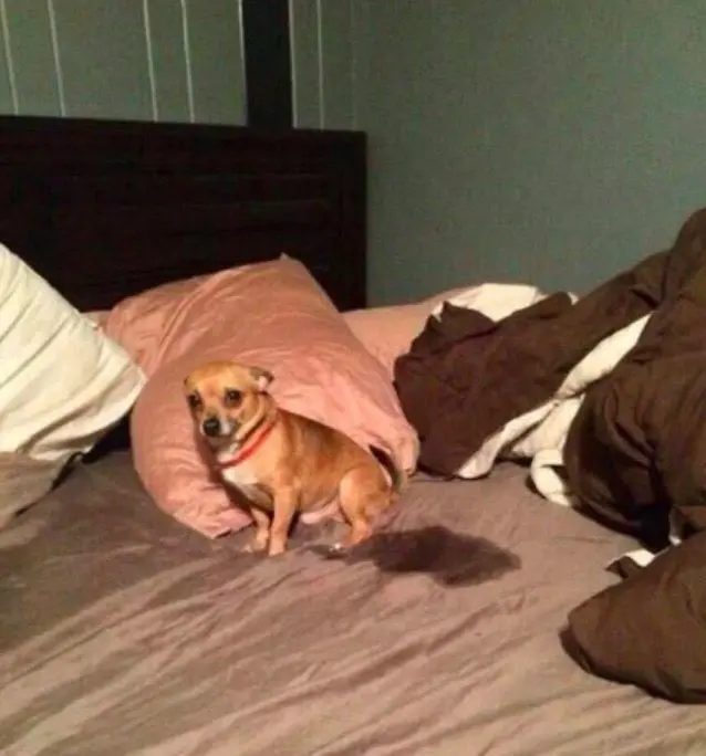 imagen recuadro imagen recuadro