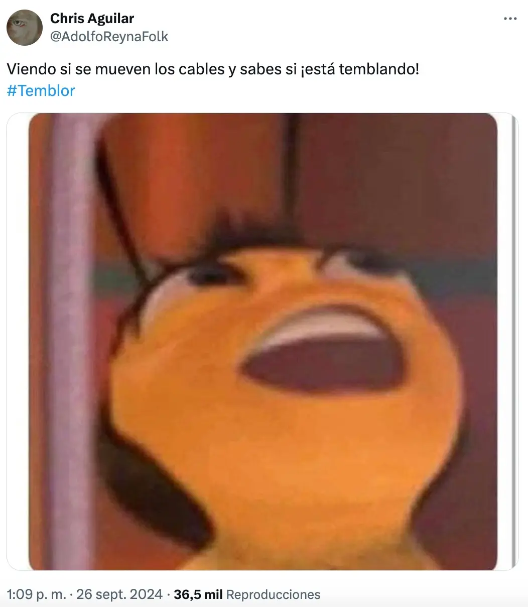 imagen recuadro imagen recuadro