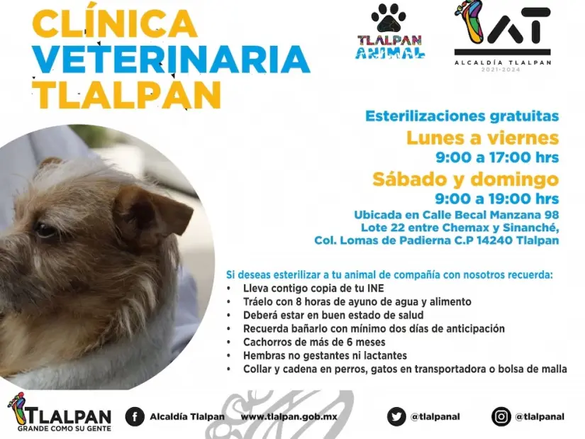 imagen recuadro imagen recuadro