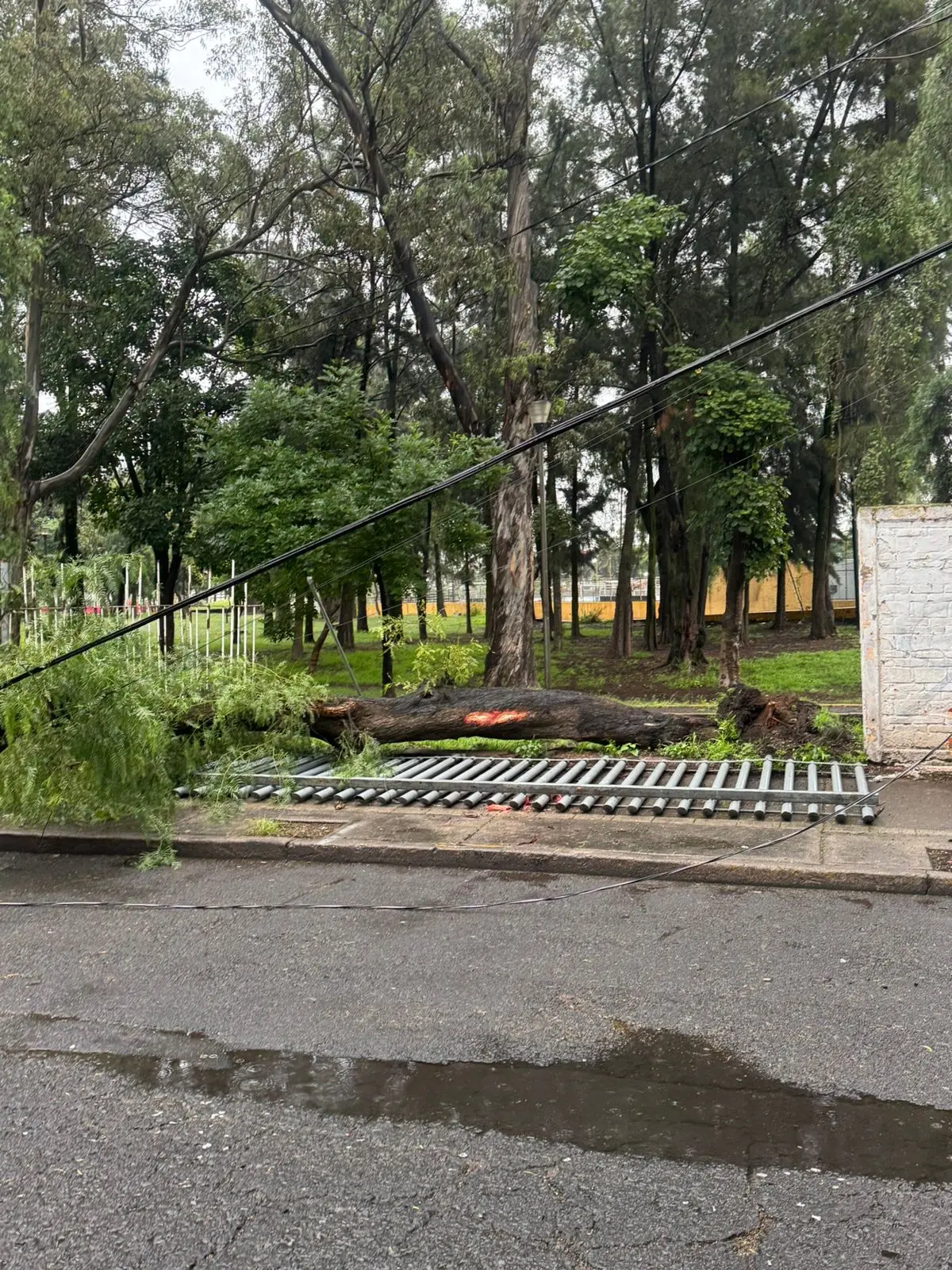 imagen recuadro