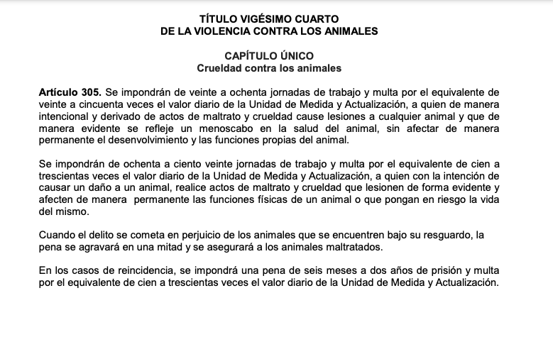 imagen recuadro