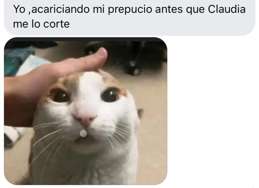 imagen recuadro