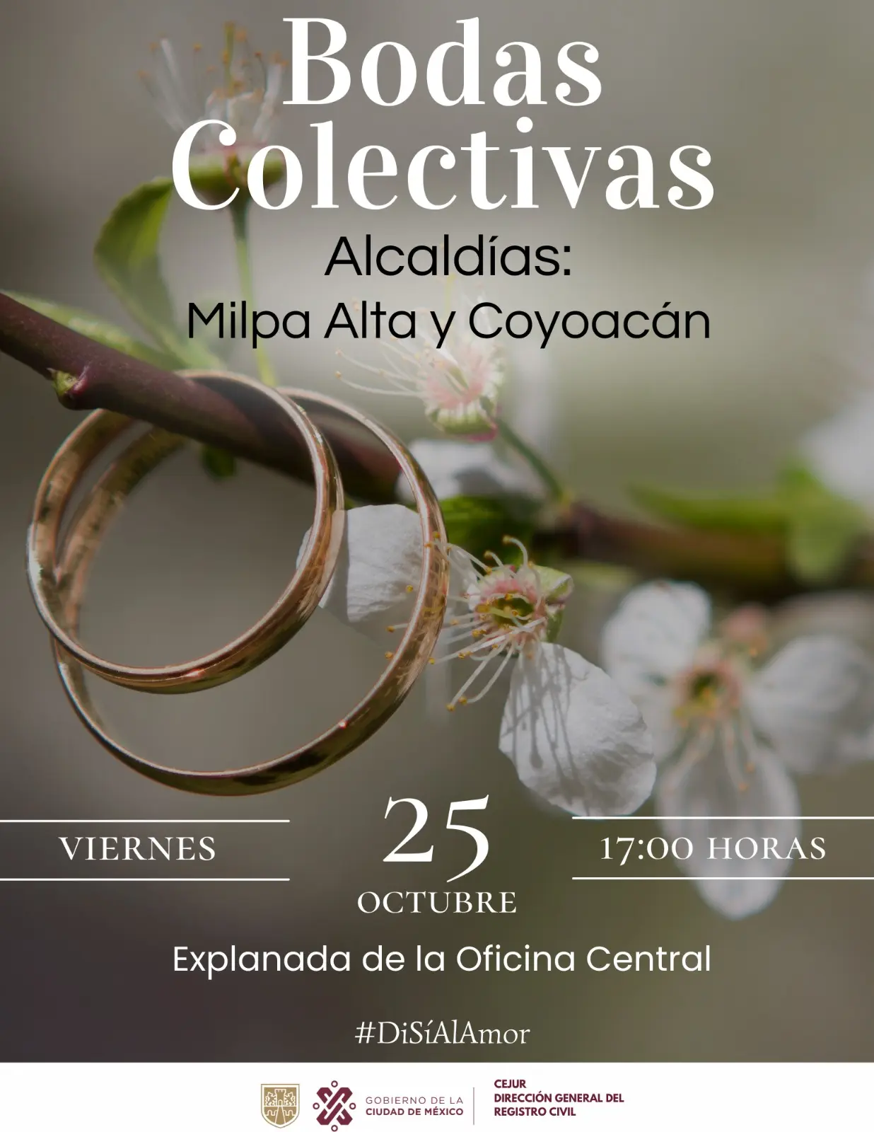 imagen recuadro