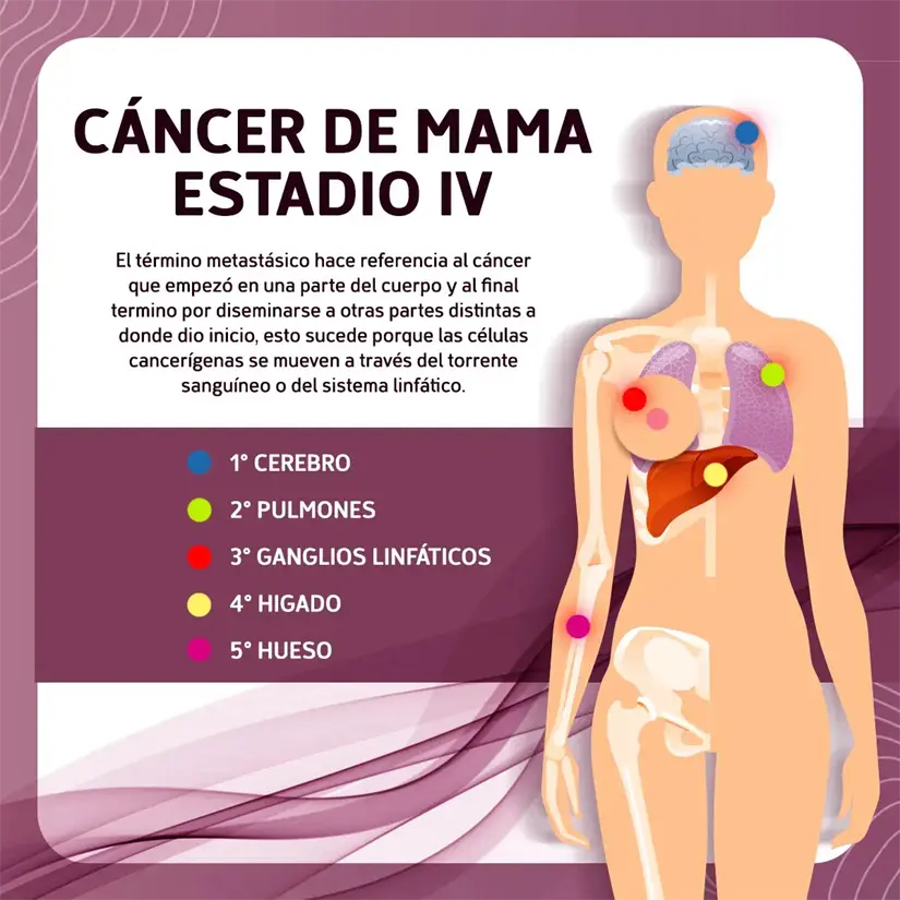 imagen recuadro imagen recuadro