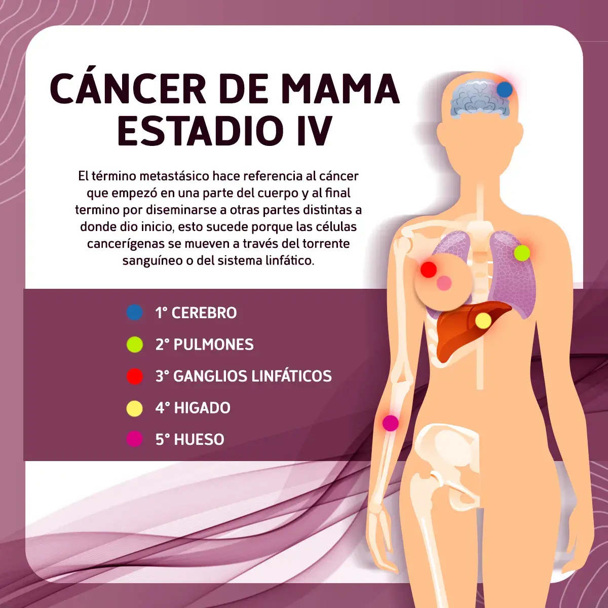 imagen recuadro