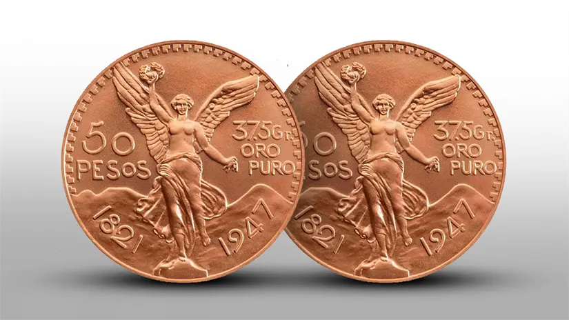 imagen recuadro imagen recuadro