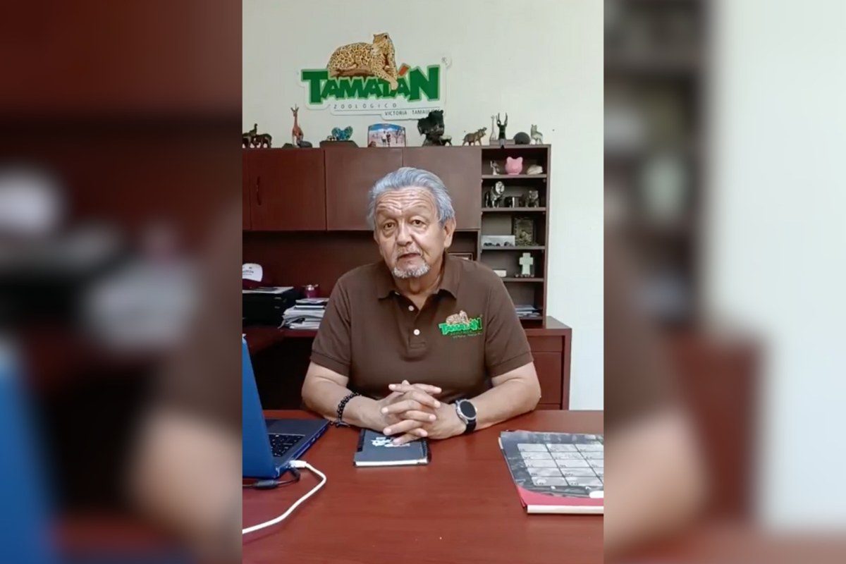 imagen recuadro