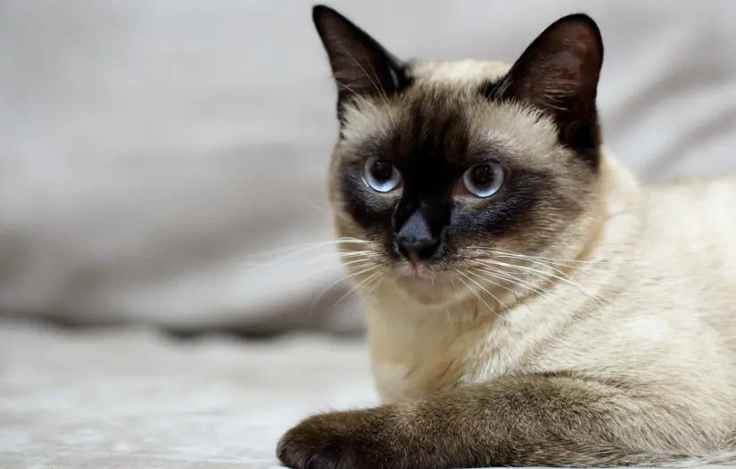 imagen recuadro imagen recuadro