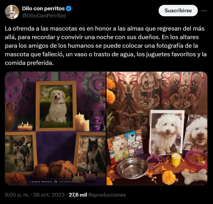 imagen recuadro