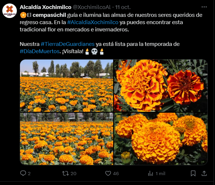 imagen recuadro