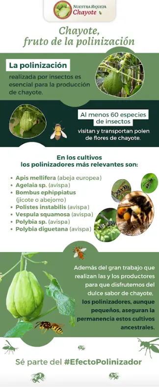 imagen recuadro imagen recuadro