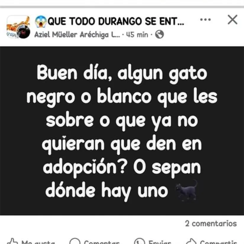 imagen recuadro imagen recuadro
