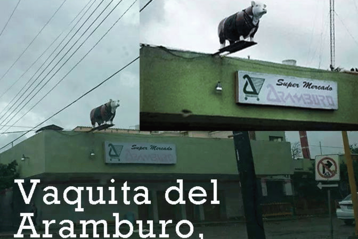 imagen recuadro