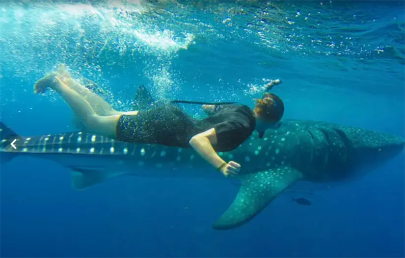 imagen recuadro imagen recuadro