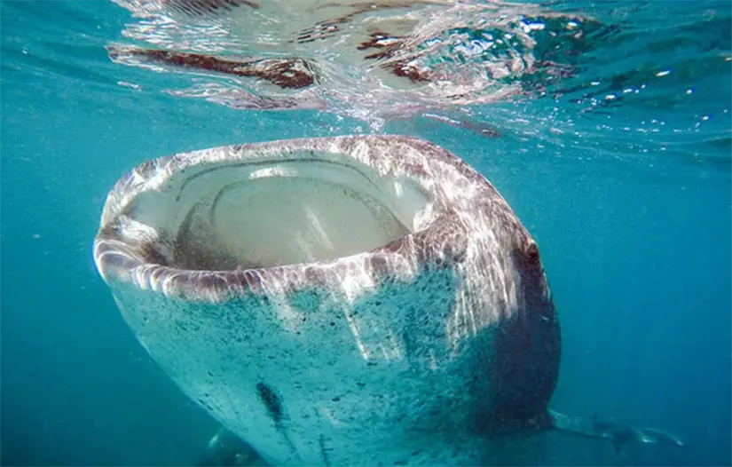 imagen recuadro imagen recuadro