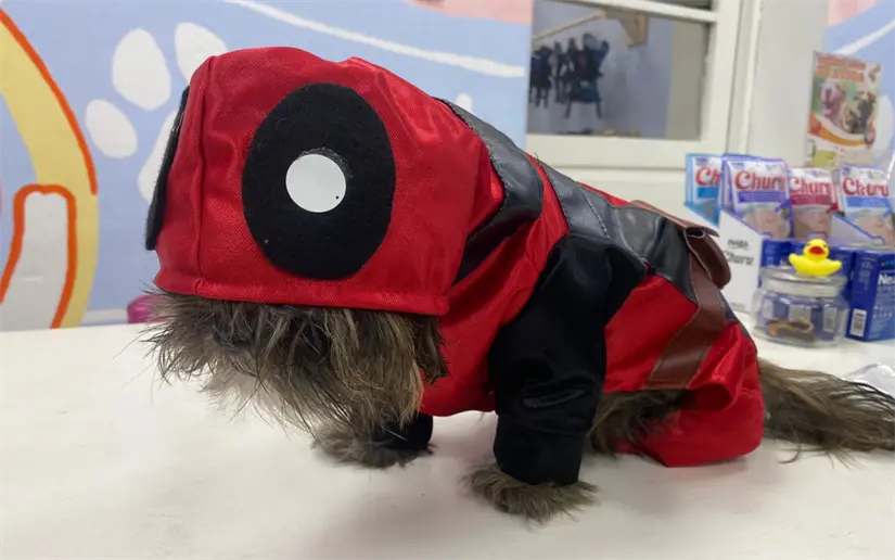 imagen recuadro imagen recuadro