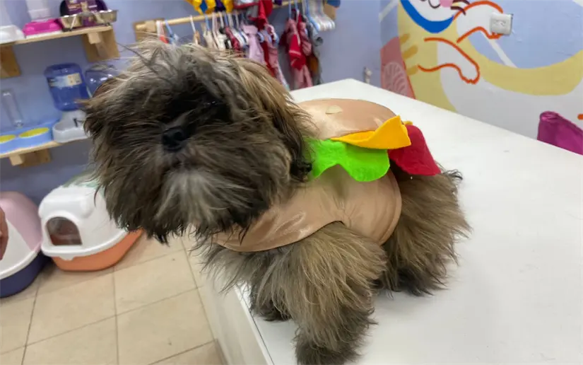 imagen recuadro imagen recuadro