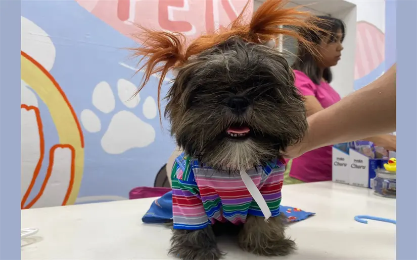 imagen recuadro imagen recuadro