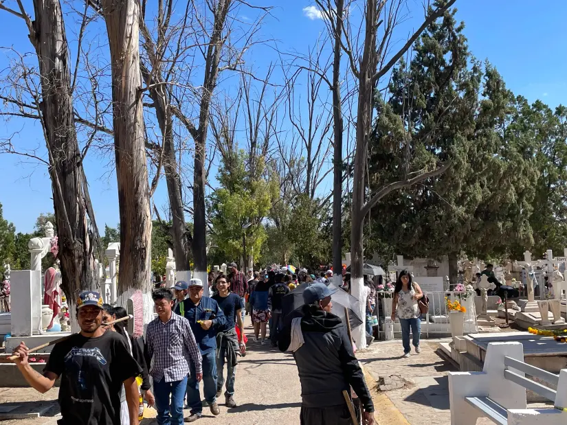 imagen recuadro imagen recuadro