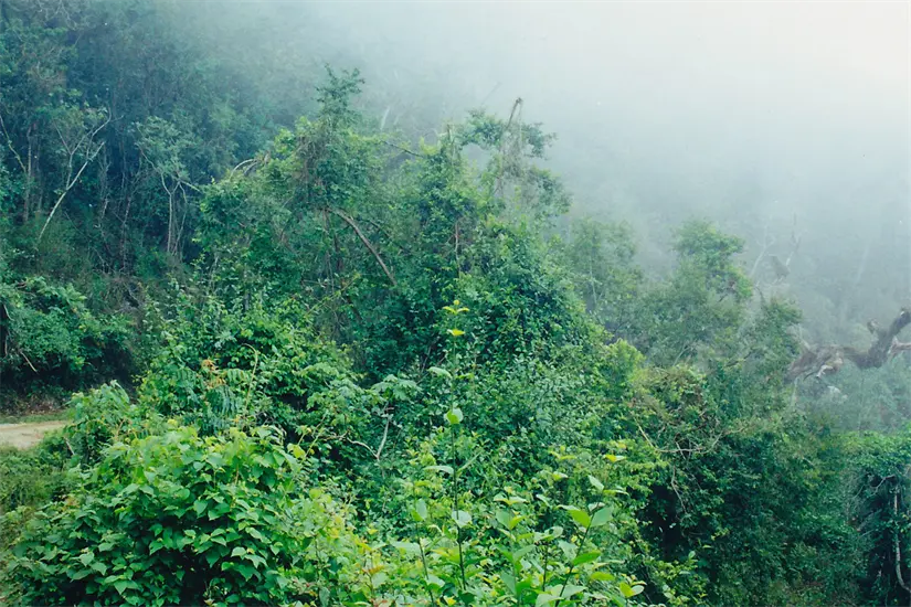 imagen recuadro imagen recuadro