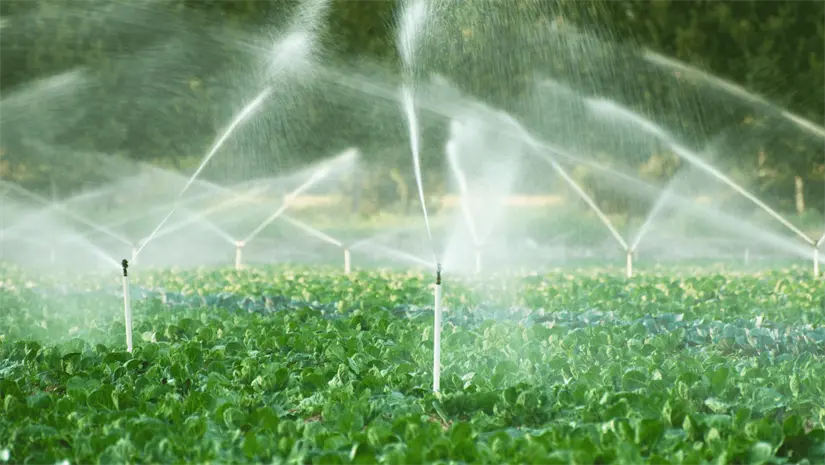 imagen recuadro imagen recuadro