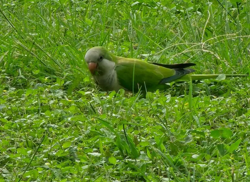 imagen recuadro imagen recuadro